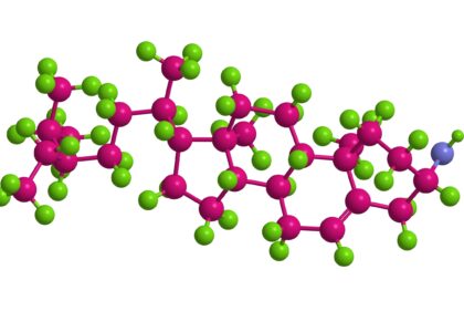 Plant Sterol Esters Market