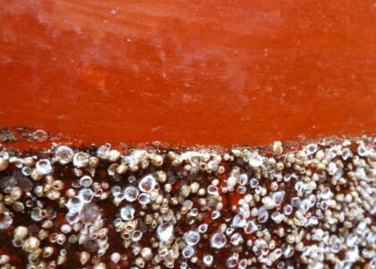 Bio-Fouling Prevention Coatings Market