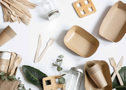 Biodegradable Microbeads Market