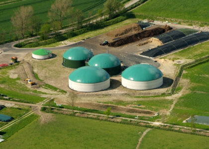 Biogas Market