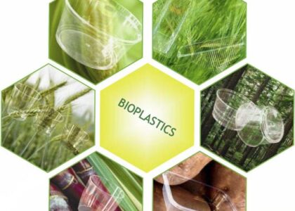 Bioplastics For Packaging Market