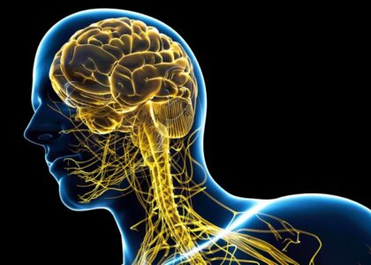 CNS Treatment and Therapy Market