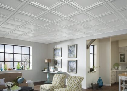 Ceiling Tiles Market