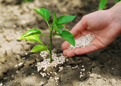Fertilizer Additives Market