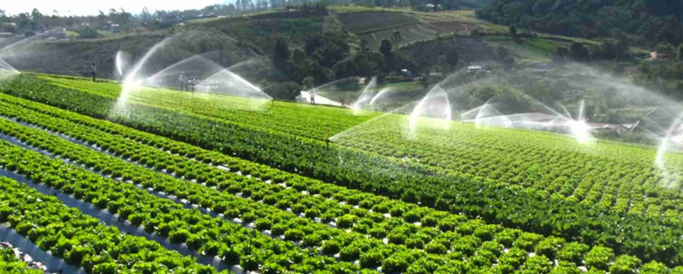 Micro Irrigation Systems Market Business Opportunities and Global