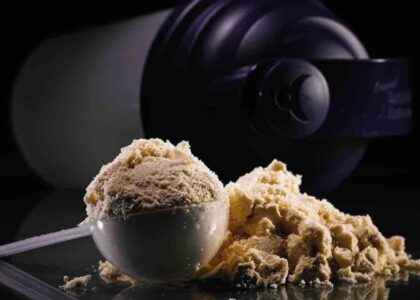 Microparticulated Whey Protein