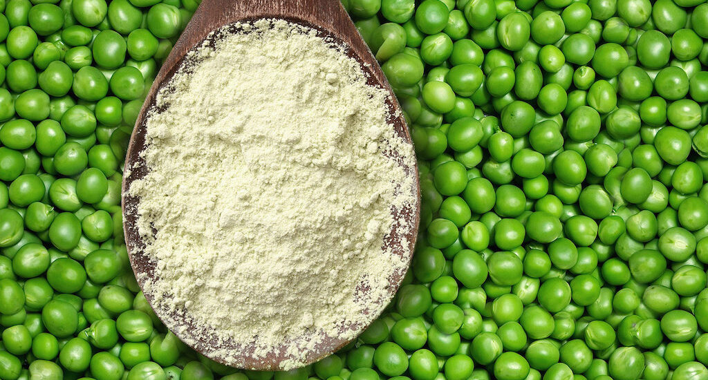 Revolutionizing the Food Industry Pea Starch Concentrate Market is