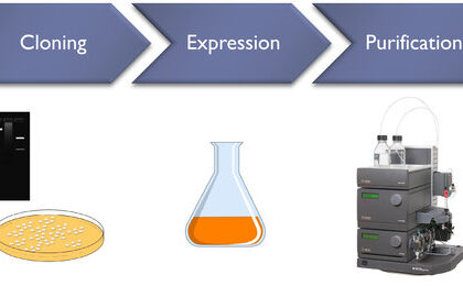 Protein Expression Technology