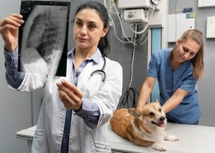 Veterinary Thermography Market
