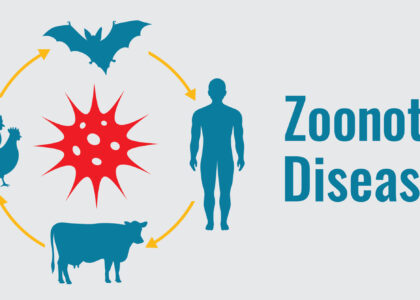 Zoonotic Disease Treatment Market