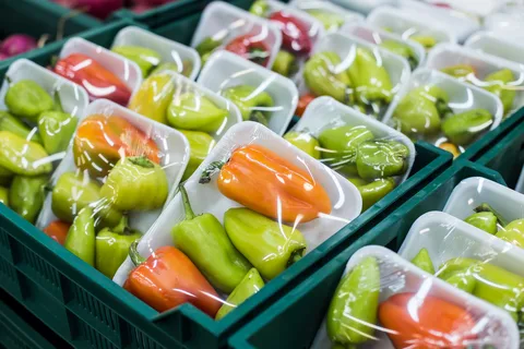 Sanitary Food & Beverage Packaging Market