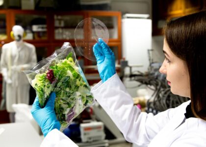 Nanotechnology Packaging Market