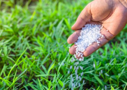 Agricultural Grade Zinc Chemicals Market