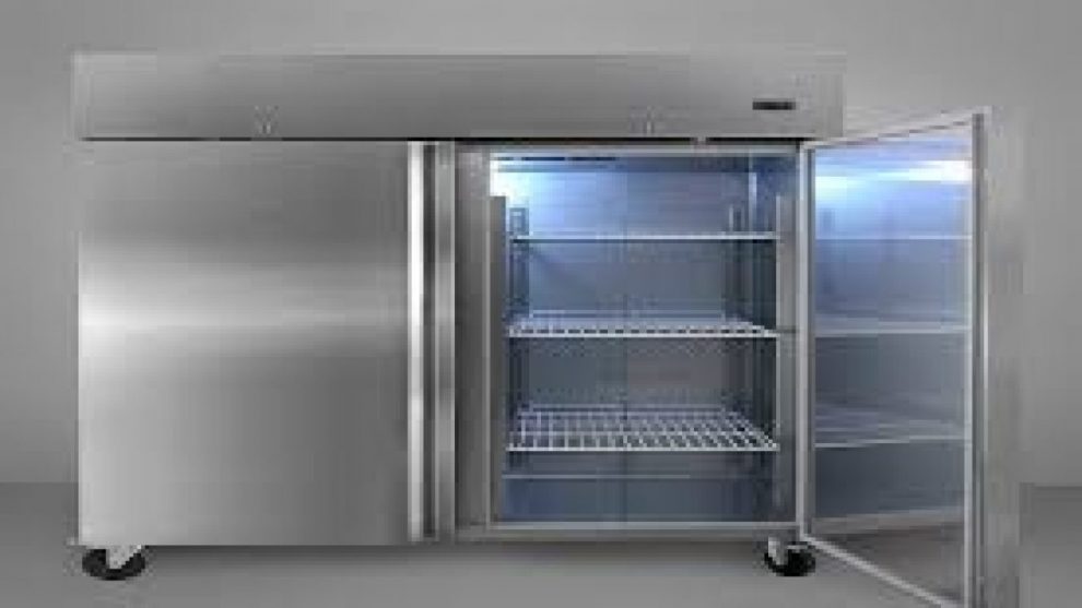Global Biomedical Refrigerator and Freezer Market