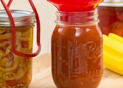 Canning Equipment Market