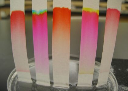 Chromatography Resin Market
