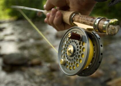 Fishing Reels Market