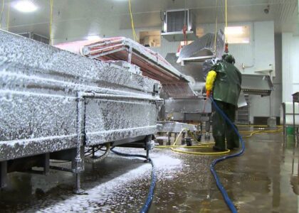 Food & Beverage Industrial Disinfection and Cleaning Market