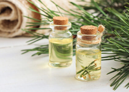 Gum Turpentine Oil Market