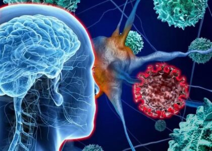 Rare Neurological Disease Treatment Market