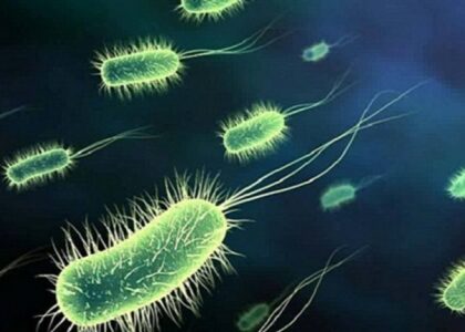 Synthetic Biology Market