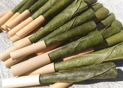 Blunt Wraps Market