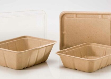 Sugarcane Packaging Market