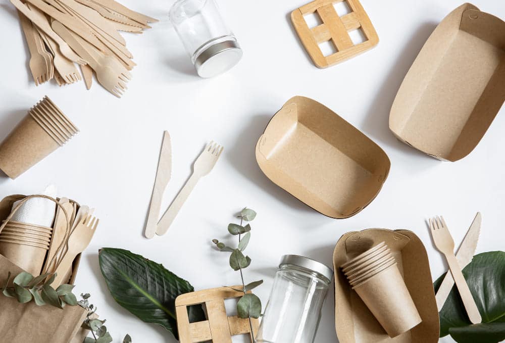 Biodegradable Disposable Tableware Market