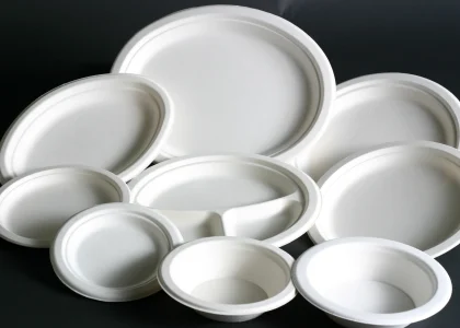 Disposable Plates Market