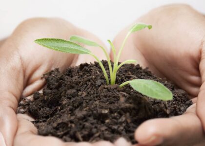 Bioenzyme Fertilizer Market