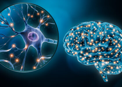 Brain Biomarkers Market