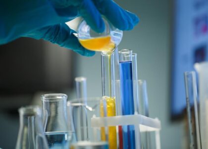 Chemical Testing Services Market