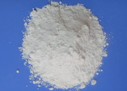 Dodecanedioic Acid Market