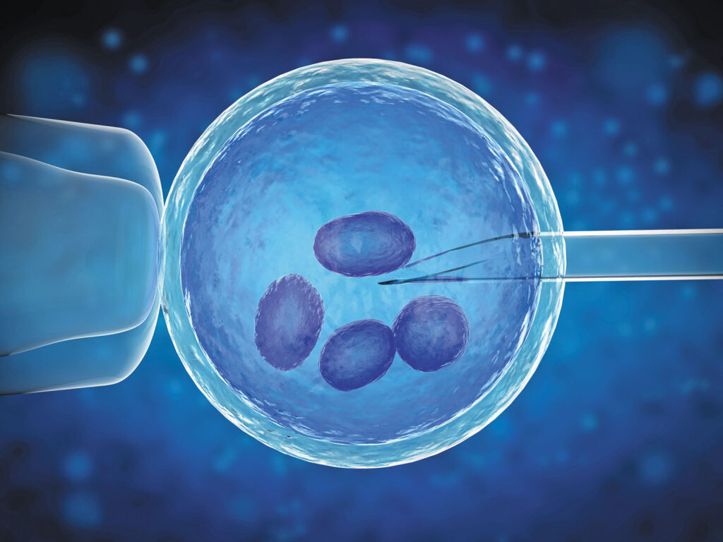 In Vitro Fertilization Market