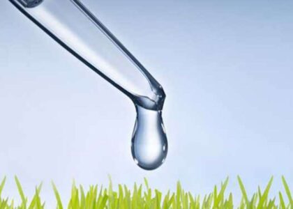 Middle East and Africa bio-stimulants