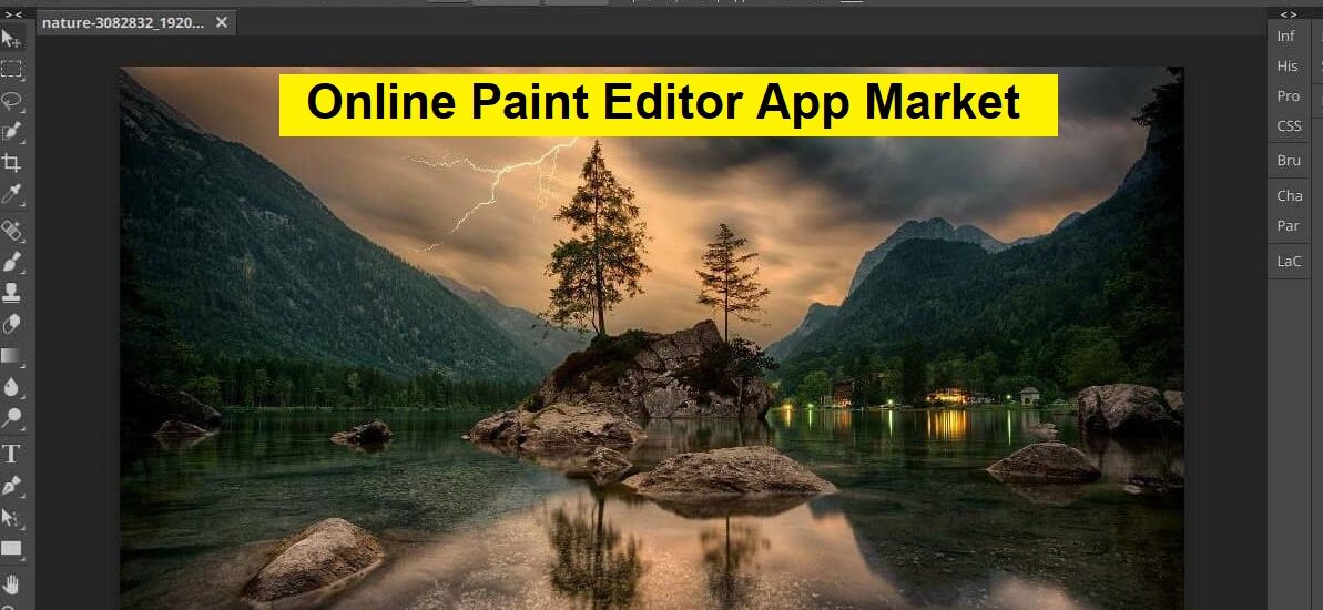 Online Paint Editor App Market on the Brink of Explosive Growth