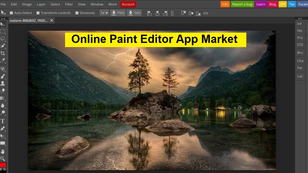 Online Paint Editor App Market on the Brink of Explosive Growth