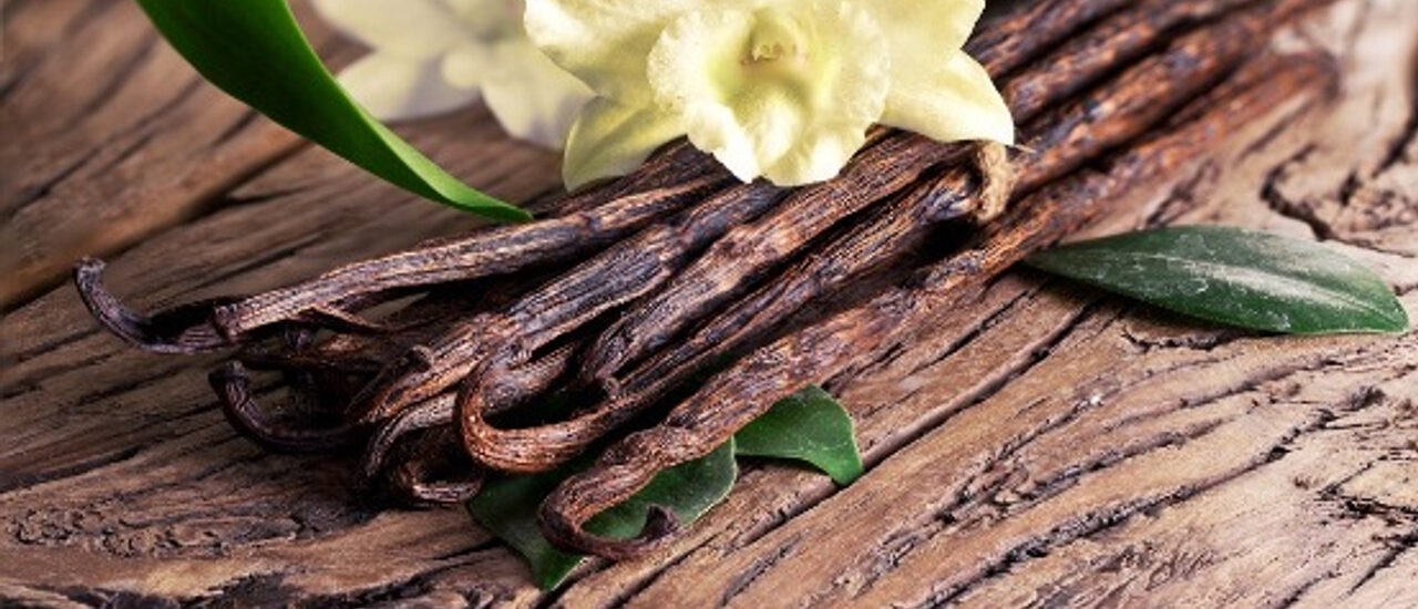 Vanilla Bean Market Expected to Surpass US 1.93 Billion by 2033