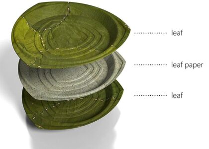 Eco-friendly Paper Plates Market