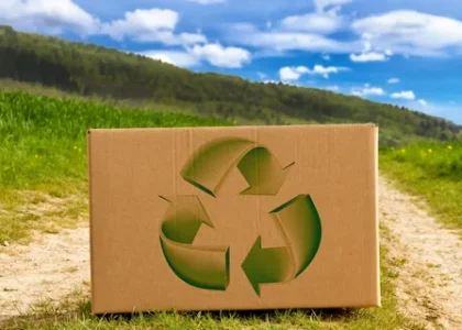 Sustainable Packaging Market