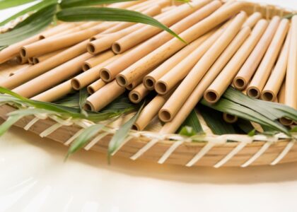 Bamboo Straws Market
