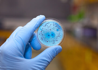 Antimicrobial-Coated Medical Devices Market