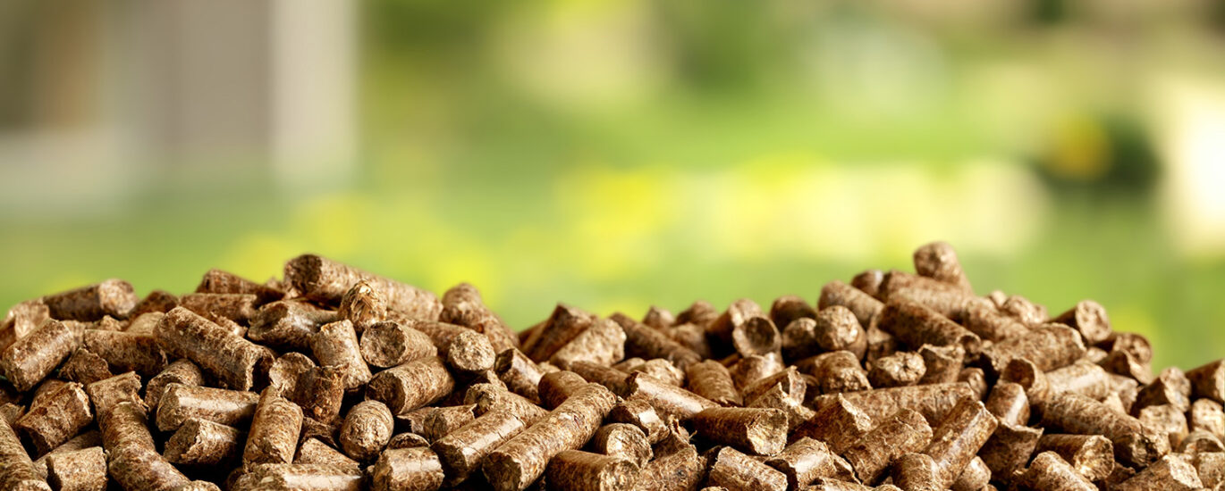 Biomass Pellets