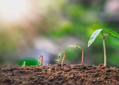 Biostimulants Market