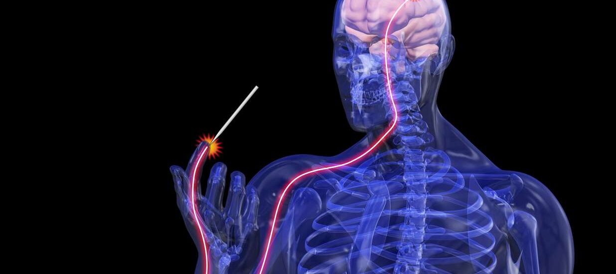 CNS Treatment and Therapy Market