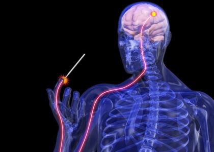 CNS Treatment and Therapy Market