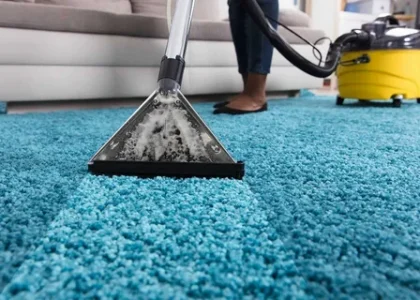 Carpet Extraction Cleaner Market