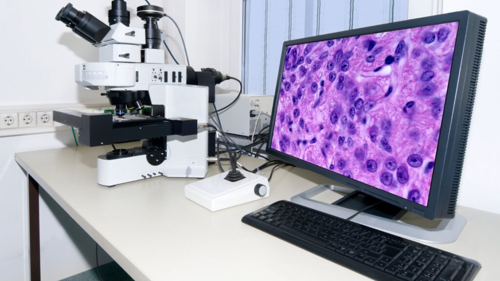 Digital Pathology Market