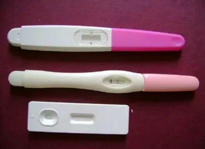 Fertility and Pregnancy Rapid Test Kits Market