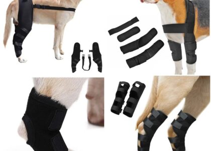 Global Veterinary Orthotics-Prosthetics Industry